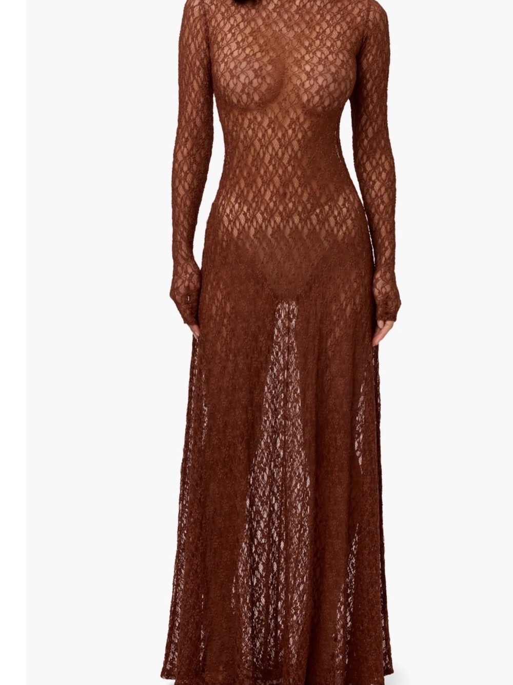 naked wardrobe Brown Sheer Lace Long-Sleeve Maxi Dress